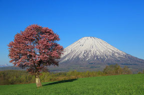 倉敷風景